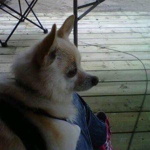 Meet your Posher, Tori